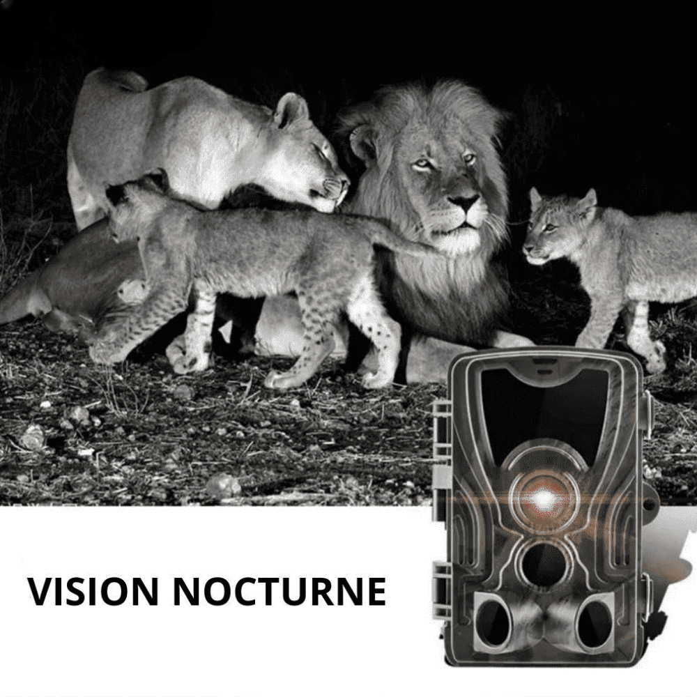 High Tech France Camera de Chasse Nocturne avec écran - Nature & Chasse®