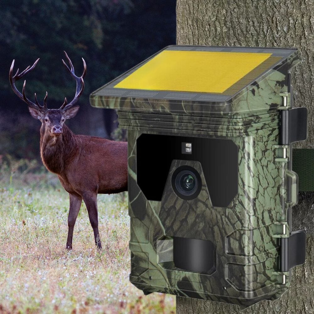 High Tech France Caméra de chasse Solaire avec écran - Nature & Chasse®