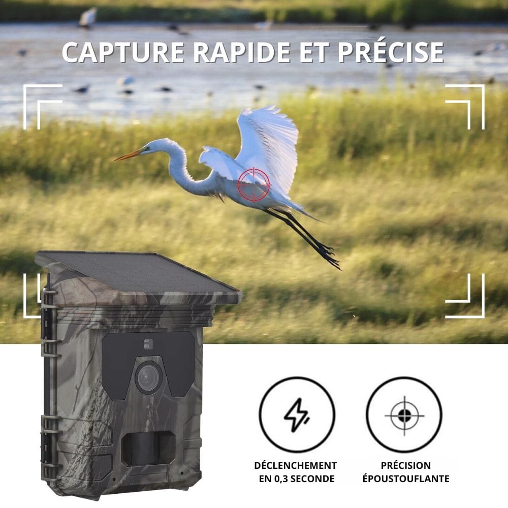 High Tech France Caméra de chasse Solaire avec écran - Nature & Chasse®