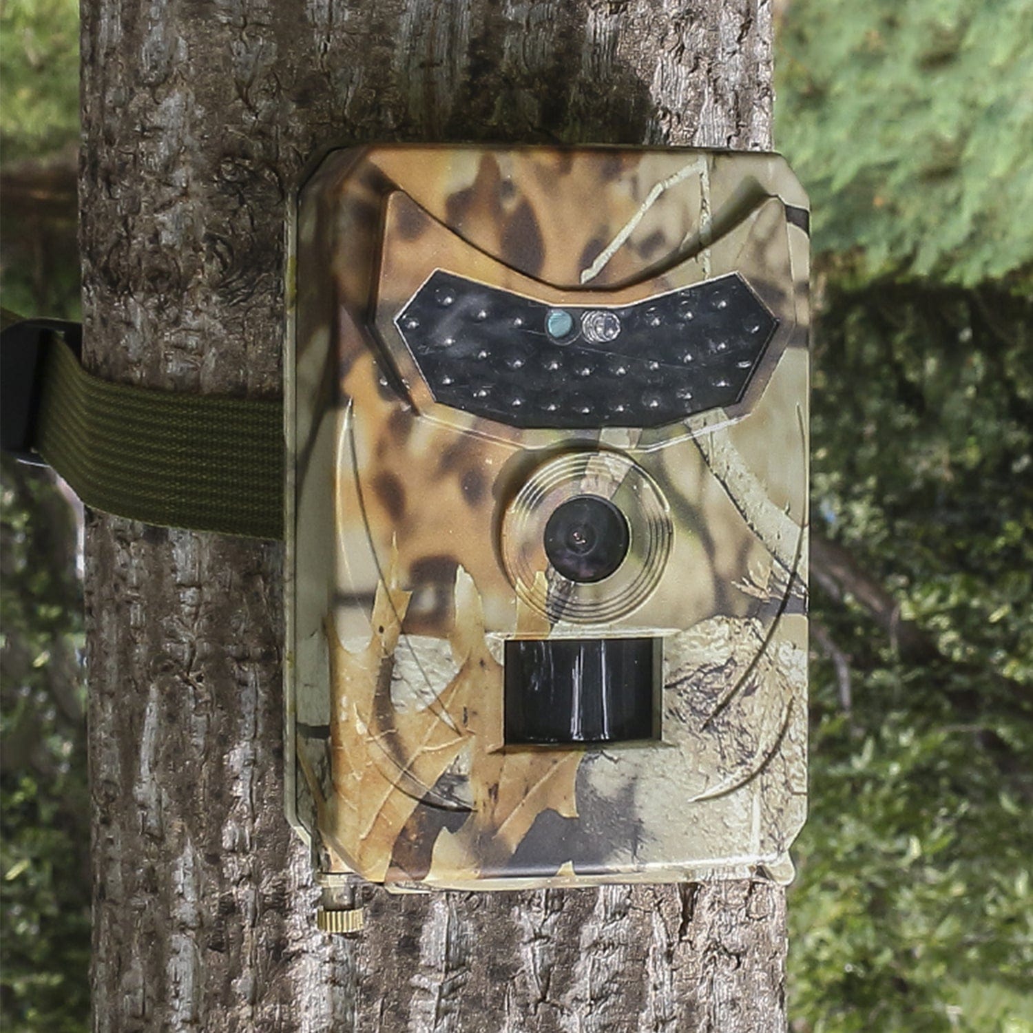 High Tech France Camera de chasse Vision Nocturne - Modèle Premium - Nature & Chasse®