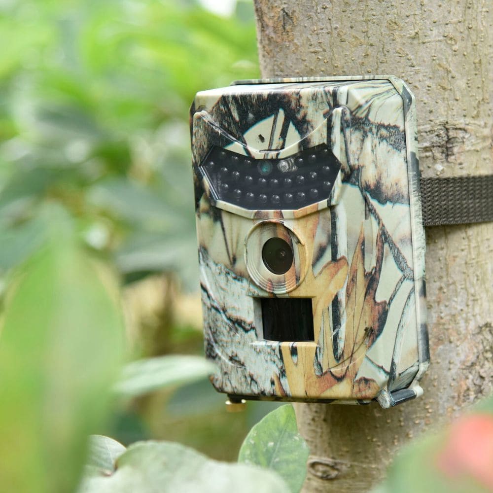 High Tech France Camera de chasse Vision Nocturne - Modèle Premium - Nature & Chasse®