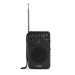 Radio portable à piles - Vignette | High Tech France