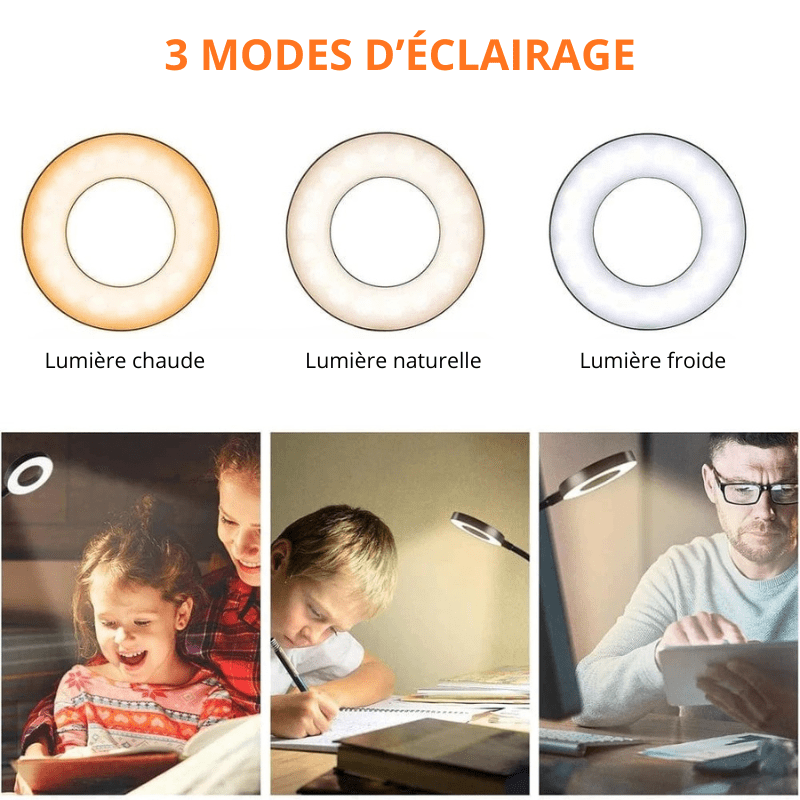 High Tech France Lampe de bureau à pince