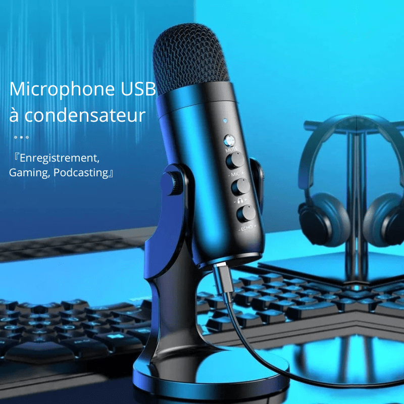 High Tech France Microphone USB