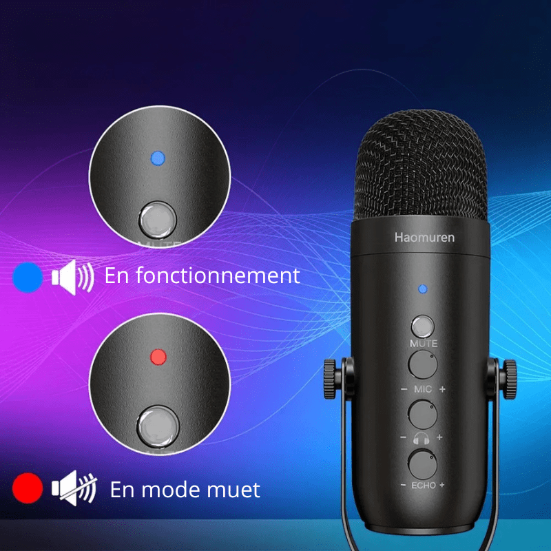 High Tech France Microphone USB pour ordinateur