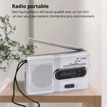 Radio portable FM - Vignette | High Tech France