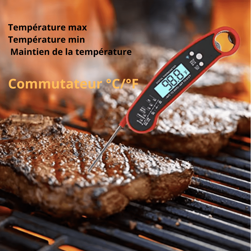 High Tech France Thermomètre de cuisine